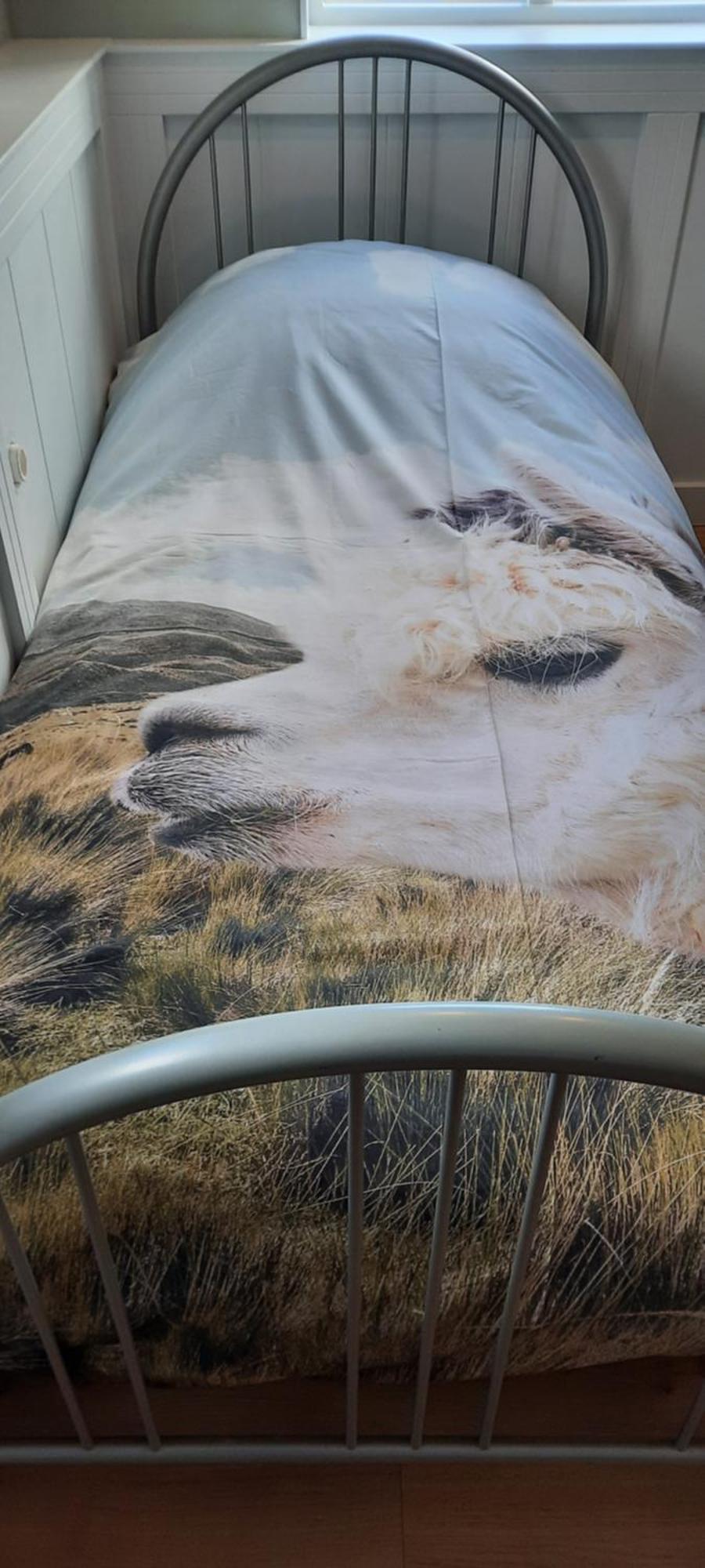 B&B De Raamberg Zundert Pokoj fotografie