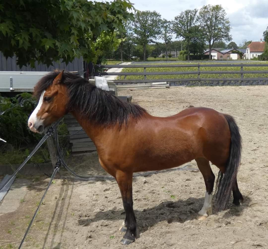 B&B De Raamberg Zundert Exteriér fotografie