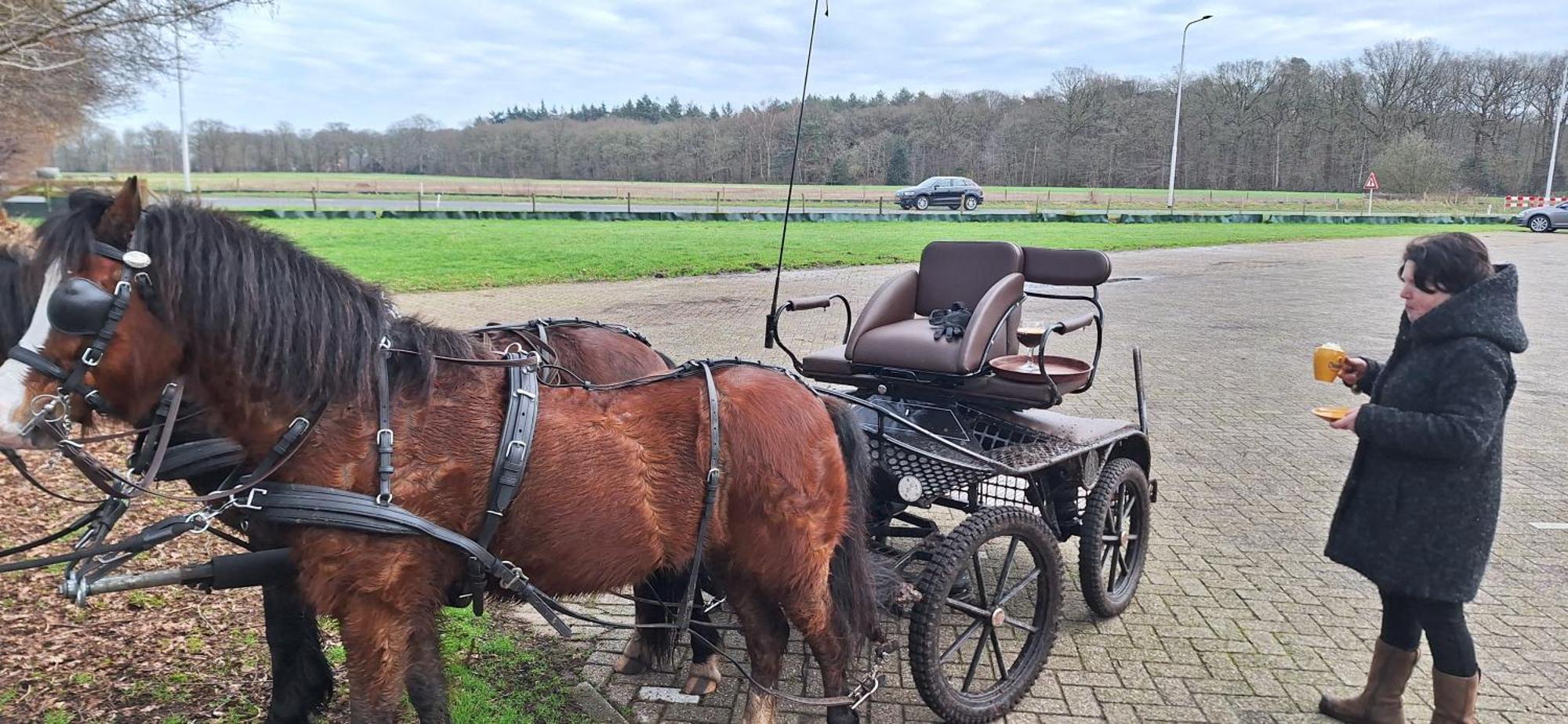 B&B De Raamberg Zundert Exteriér fotografie